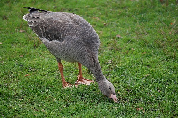 DSC_3905.JPG DSC_3905.JPG