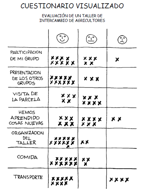 Cuestionario visualizado