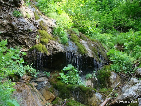 210.jpg 210.jpg