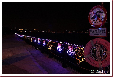 IMG_1616 IMG_1616