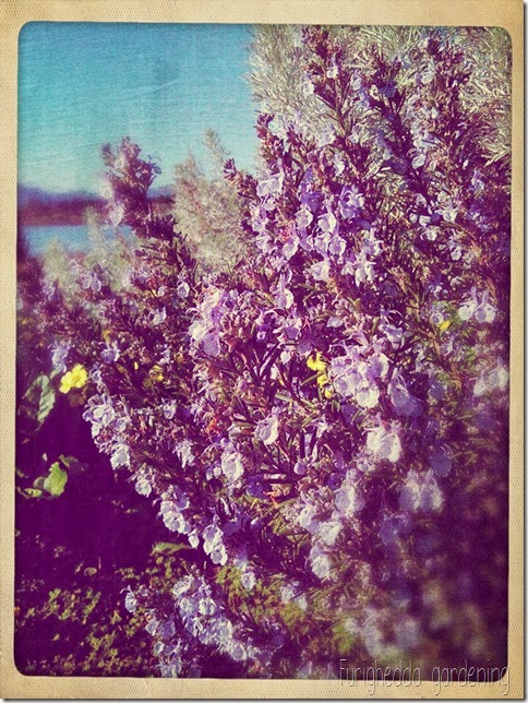 Foto 6 Foto 6