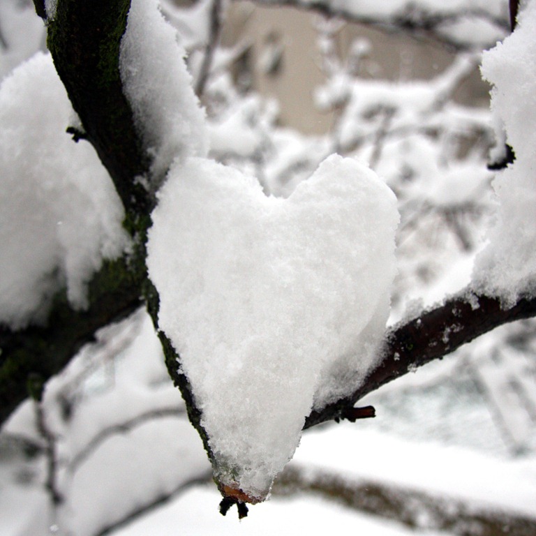 [BORSA%2520LANA%2520BLU-6%255B4%255D.jpg]