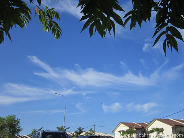 [IMG_05998.jpg]