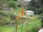 MIni-hydro-electric plant, Porcon, Peru