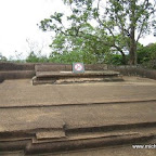 l013.jpg