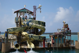 Pelican Plunge