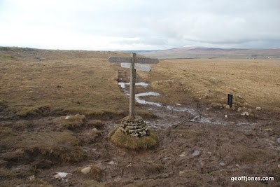 IMG_8531.JPG