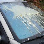 DSC00943.JPG