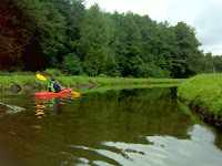 DSC04791.JPG Photo