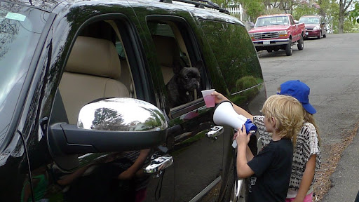 You can put down the megaphone, buddy!  I'm right here next to you!  I just want to know a bit more about the lemonade before I buy some!  Is it made with organic ingredients?