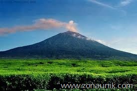 [Ohang-Pandak-Sumatera3.jpg]