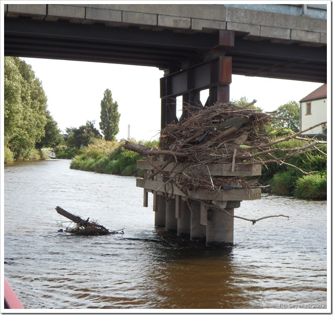 SAM_2954 Beal Bridge SAM_2954 Beal Bridge