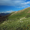 DSC_0111.JPG