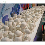 assastudio.8.jpg