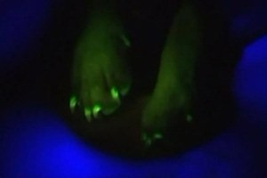 [glow-in-th%255B3%255D.jpg]