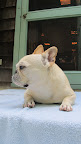 However, if I turn my head in this direction, you can take a nice shot of my cute profile.