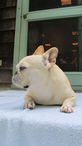 However, if I turn my head in this direction, you can take a nice shot of my cute profile.