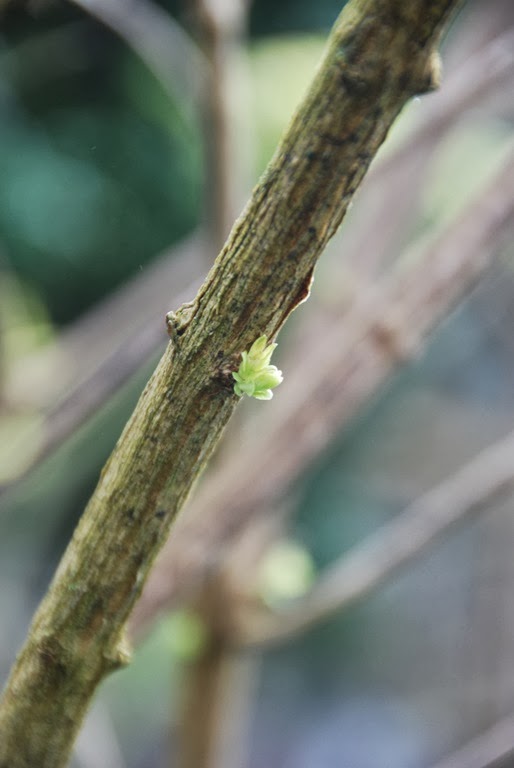 [DSC_0339%255B5%255D.jpg]