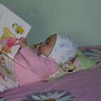 Anisia