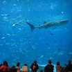 me and B trip to boston and ga aquarium 151.JPG