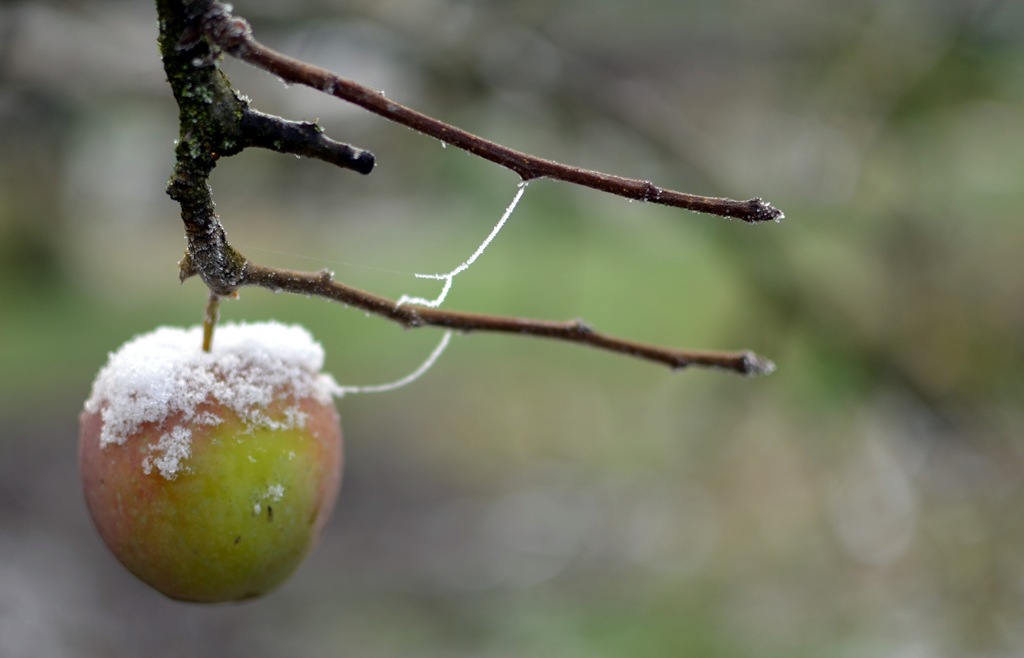 [DSC_0007%255B4%255D.jpg]