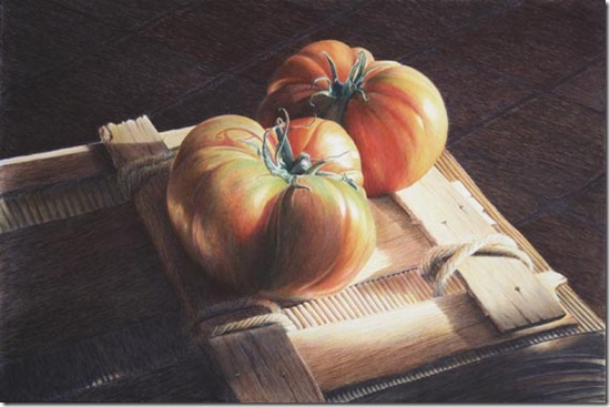 tomates 2 wp tomates 2 wp