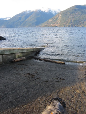 [IMG_6631%255B4%255D.jpg]