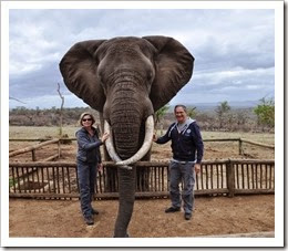 olifanten interactie 028