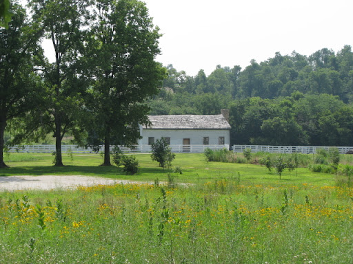 Nathan and Olive's home (photo credit: Michele Skalicky)
