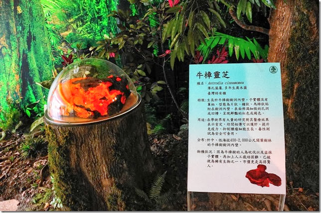 DSC00379 DSC00379
