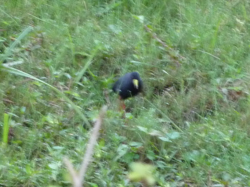 P1090538