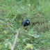 P1090538