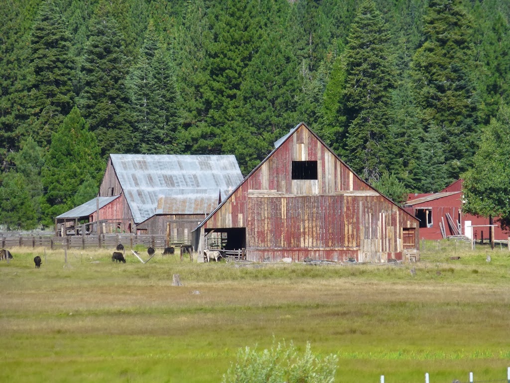 [Lake%2520Siskiyou%25202013%2520one%2520011%255B3%255D.jpg]