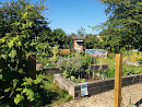 Ladybug Community Garden