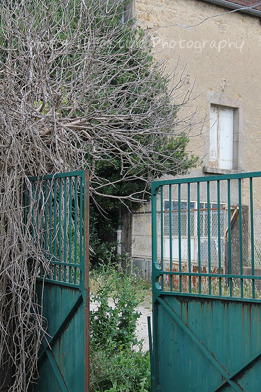 [IMG_4530a%255B3%255D.jpg]