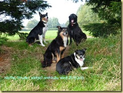 sue's three and ruby sue's three and ruby