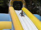 action17.jpg