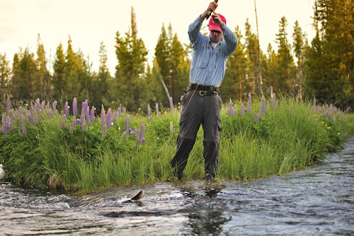 Picture from Upper Deschutes