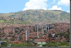 IMG_3949 IMG_3949