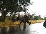 South Africa - 149.JPG