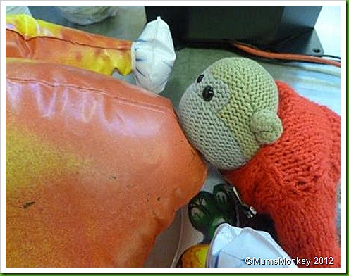 Inflatable Christmas Turkey. Inflatable Christmas Turkey.