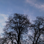 DSC_4878.JPG
