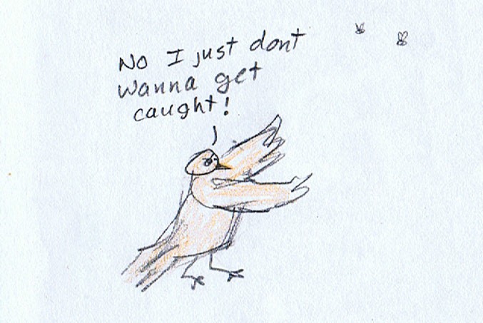 [chick-35.jpg]