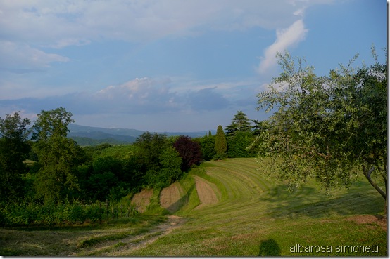 Cormons e varie 2011 053