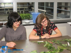 2012-02-28 Ervaringsdag BVL