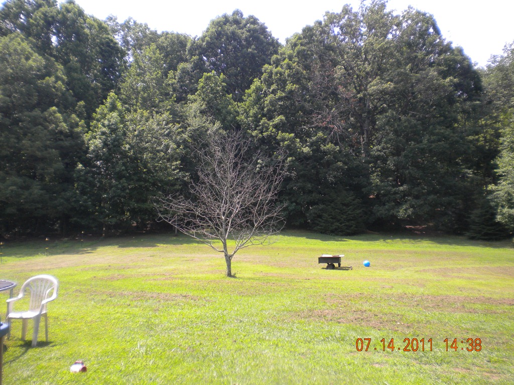 [tenn%2520signal%2520mtn%2520046%255B3%255D.jpg]