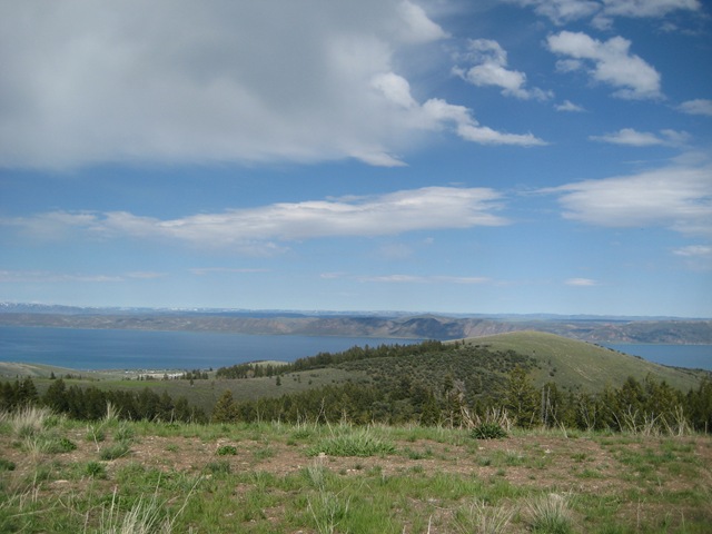 [IMG_6559%255B3%255D.jpg]