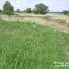 dsc06835.jpg