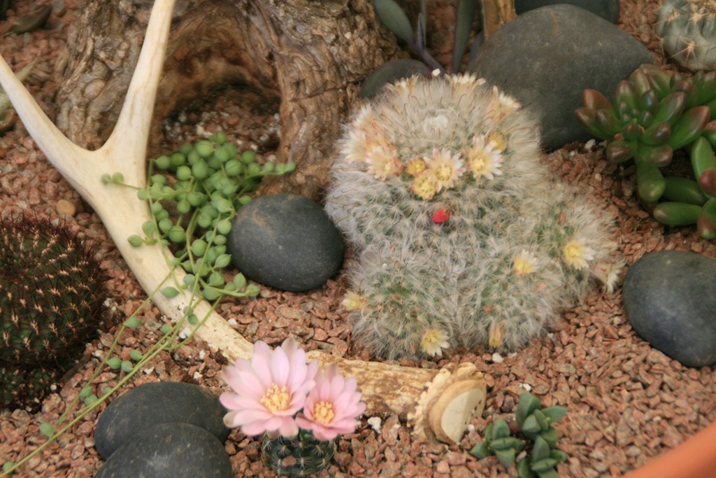 [IMG_6806%255B4%255D.jpg]