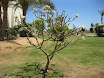 sharm110423_32.jpg